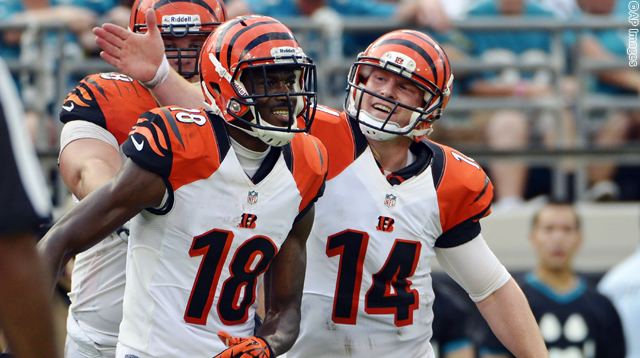 Andy Dalton  Career Highlights With Bengals 