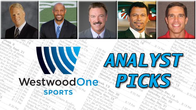 Analyst Picks 2013